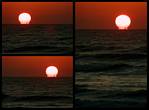(15) dawn montage.jpg    (1000x740)    203 KB                              click to see enlarged picture